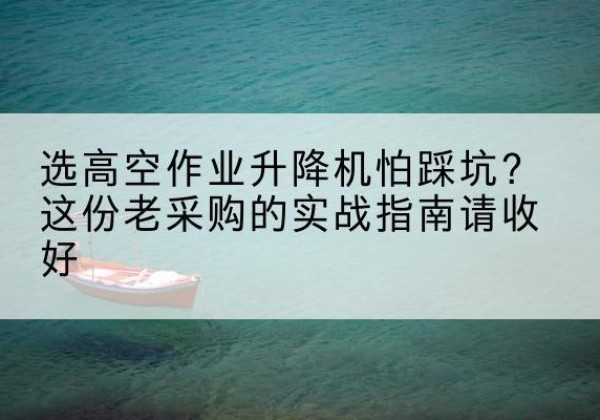 温州高空作业升降机厂家推荐-选高空作业升降机怕踩坑？这份老采购的实战指南请收好