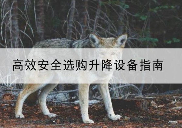 温州升降货梯厂家推荐-*安全选购升降设备指南