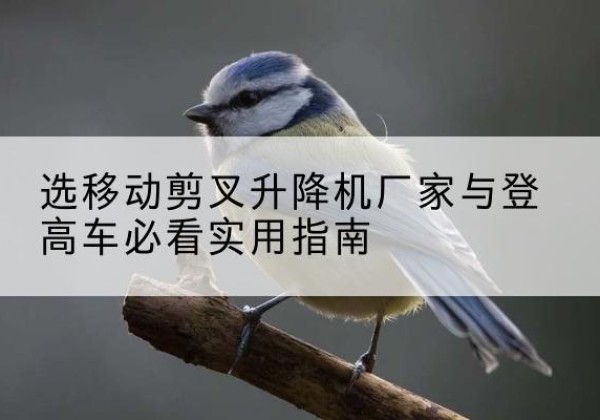 温州电动升降机厂家-选移动剪叉升降机厂家与登高车必看实用指南